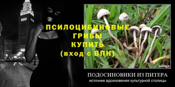 герыч Медногорск
