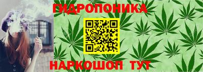 эйфоретик Бийск