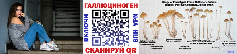 Псилоцибиновые грибы мухоморы Воронеж