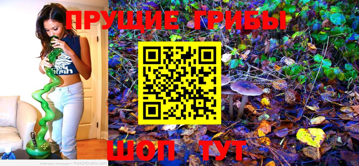 Галлюциногенные грибы Psilocybine cubensis  Вход с VPN  Псилоцибиновые грибы Psilocybine cubensis  продажа наркотиков  Воронеж 
