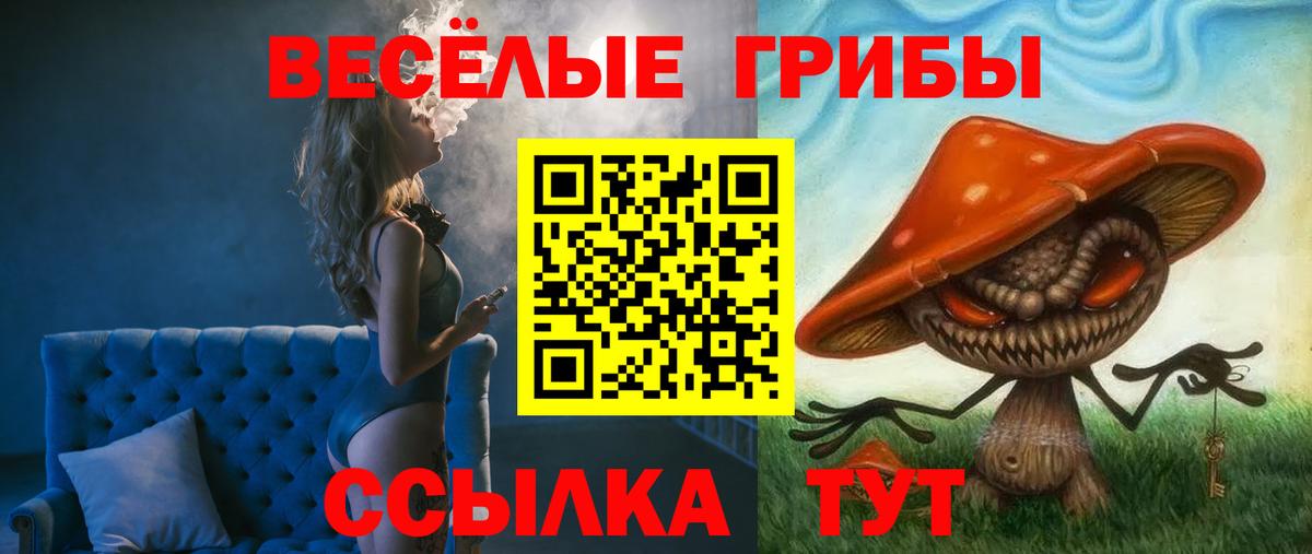 Галлюциногенные грибы Psilocybe Воронеж
